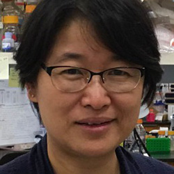 Leiqing Zhang, MD